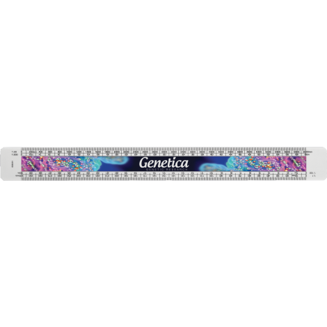 Architects Scale Ruler 300mm