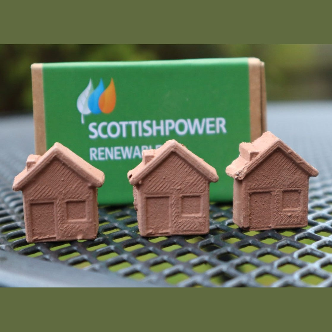 House Shaped Seed Bombs