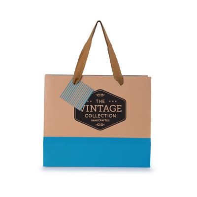 Colour Blocked Paper Gift Bag