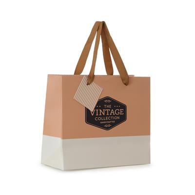Colour Blocked Paper Gift Bag