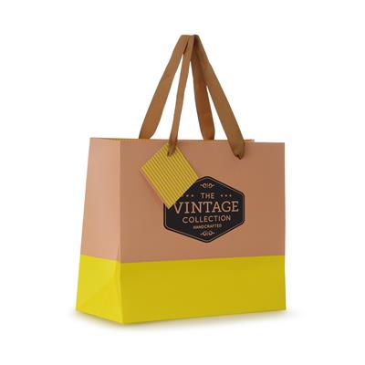 Colour Blocked Paper Gift Bag
