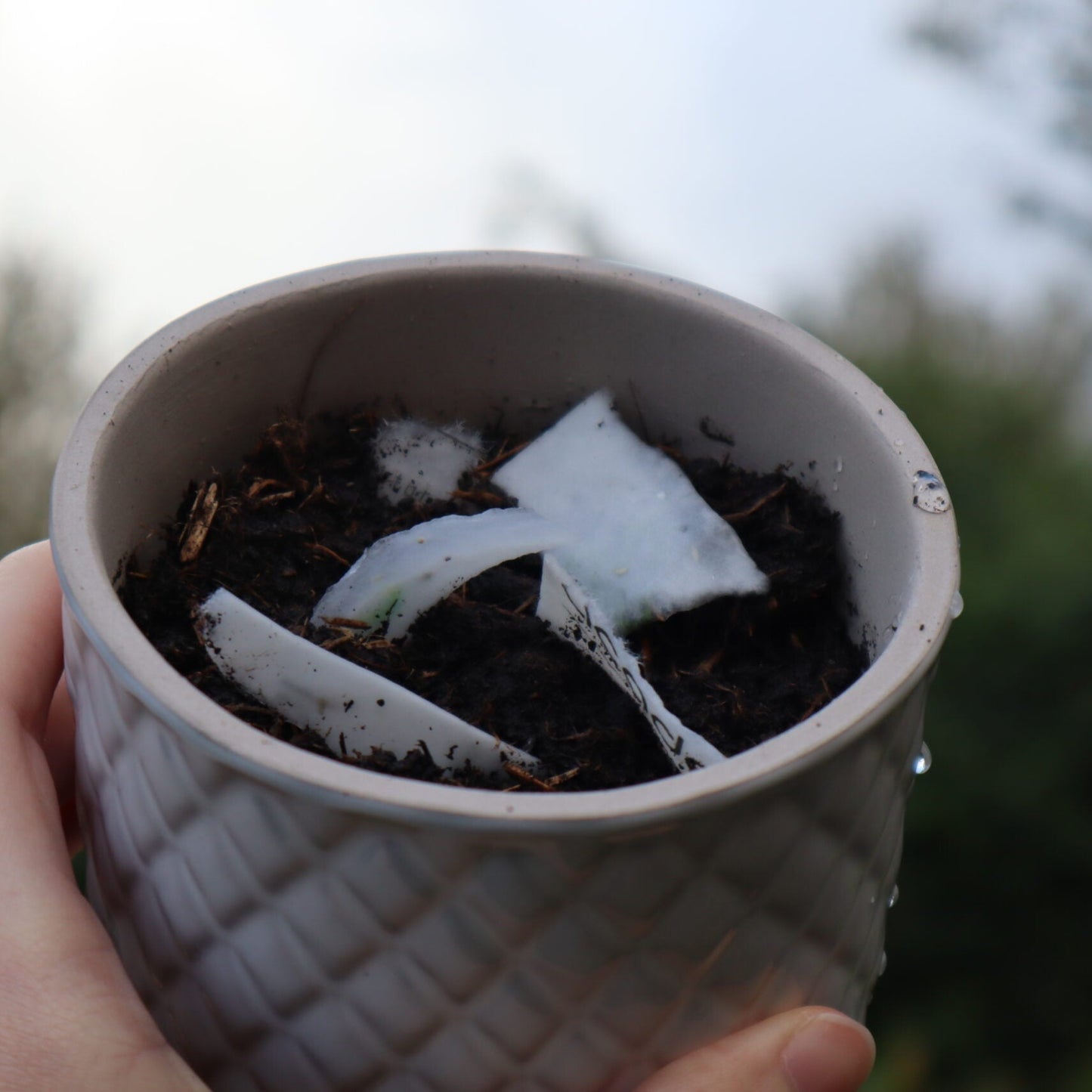 Seed Paper Wristbands