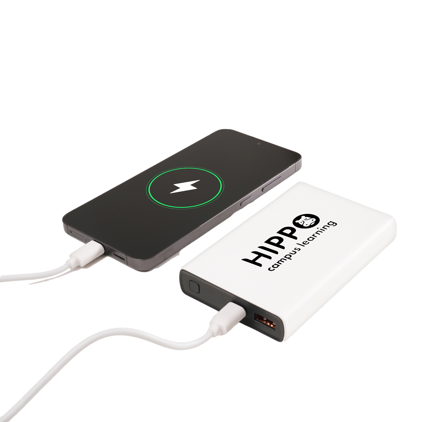 Fast Charge Power Bank