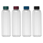 Branded Borosilicate Glass Bottle with Steel Lid - 620ml