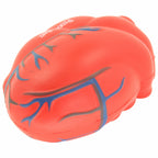 Branded Heart With Veins Stress Toy