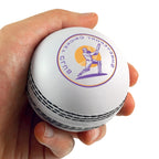 Branded Cricket Ball Stress Toy