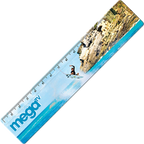 Recycled Ruler 15cm