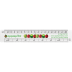 Architects Scale Ruler 150mm