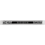 Architects Scale Ruler 300mm