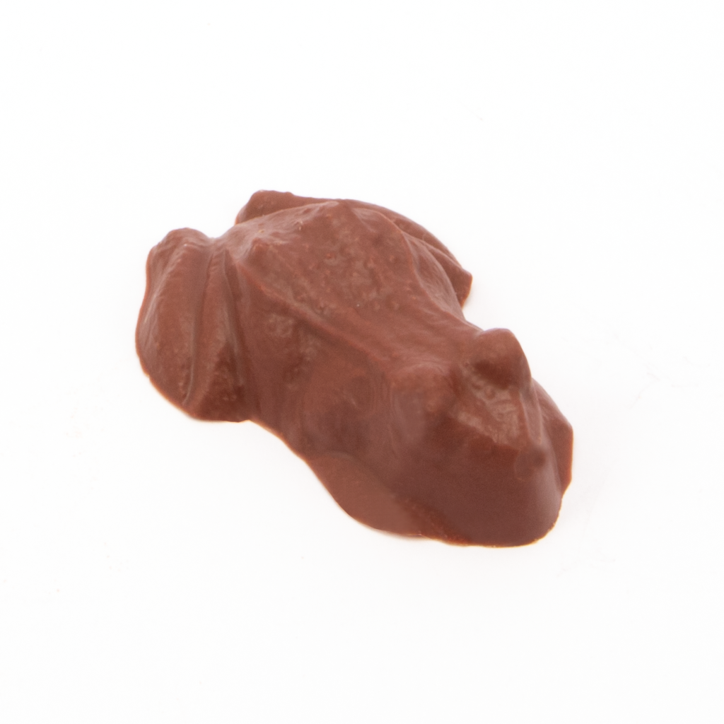 Branded Chocolate Frogs
