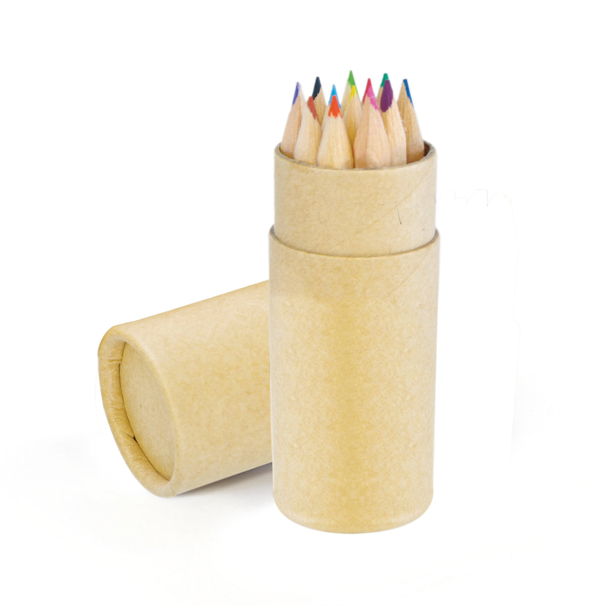 Branded 12 Piece Coloured Pencil Set in Cardboard Tube