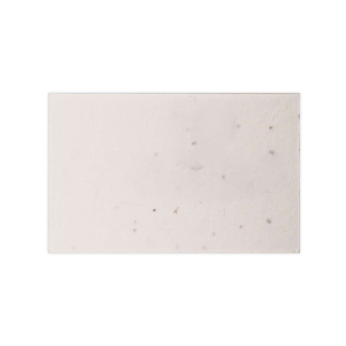 Branded Seed Paper Business Card with Wildflower Seeds