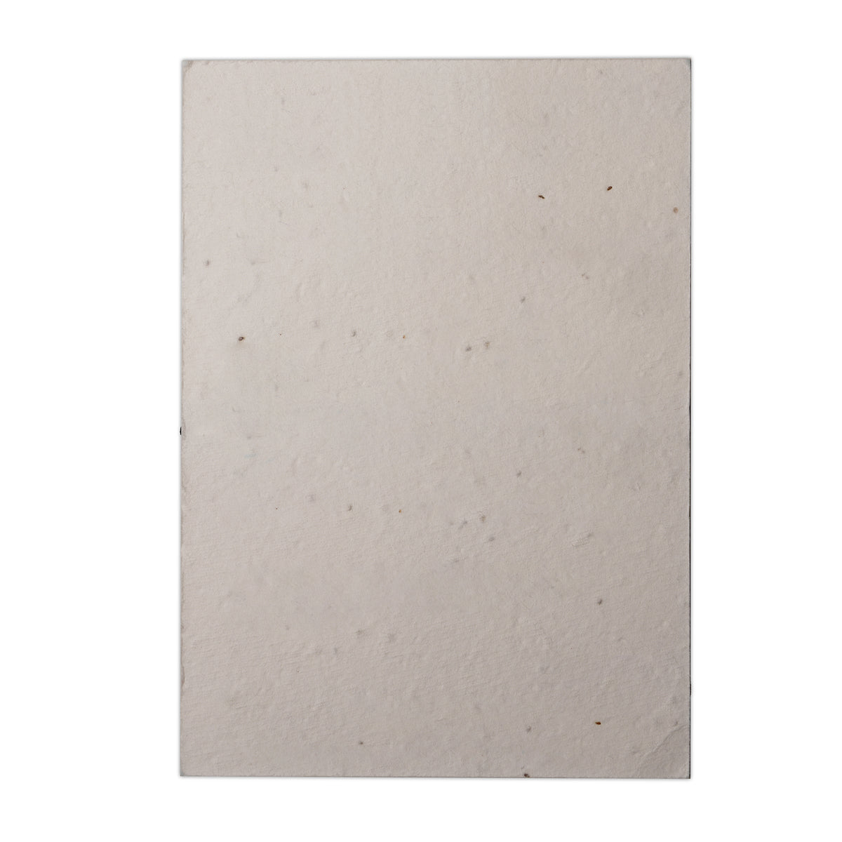 Branded A6 Seed Paper Postcard