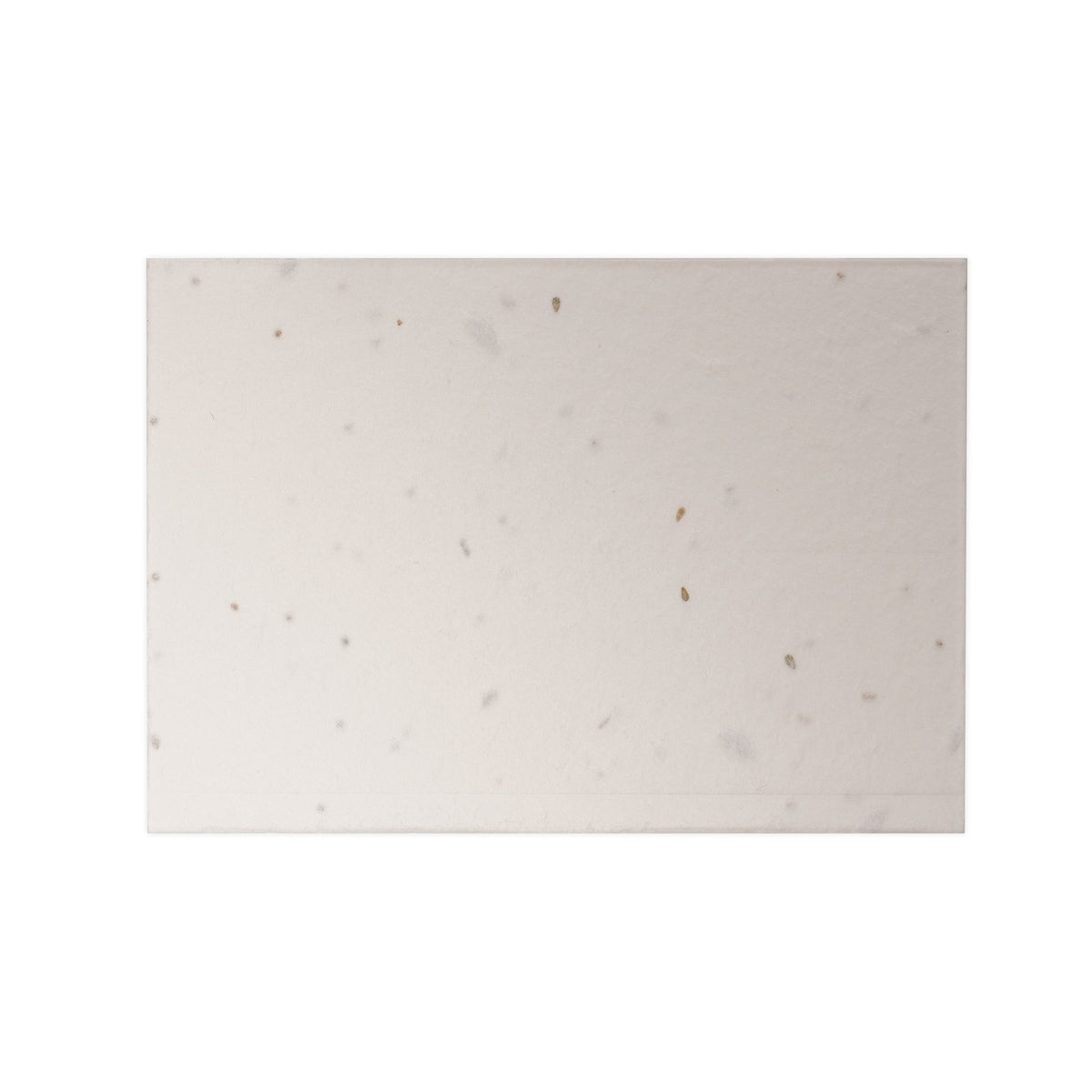 Branded A7 Seed Paper Postcard