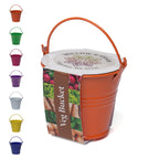 Branded Coloured Enamel Mini Bucket Grow Kit