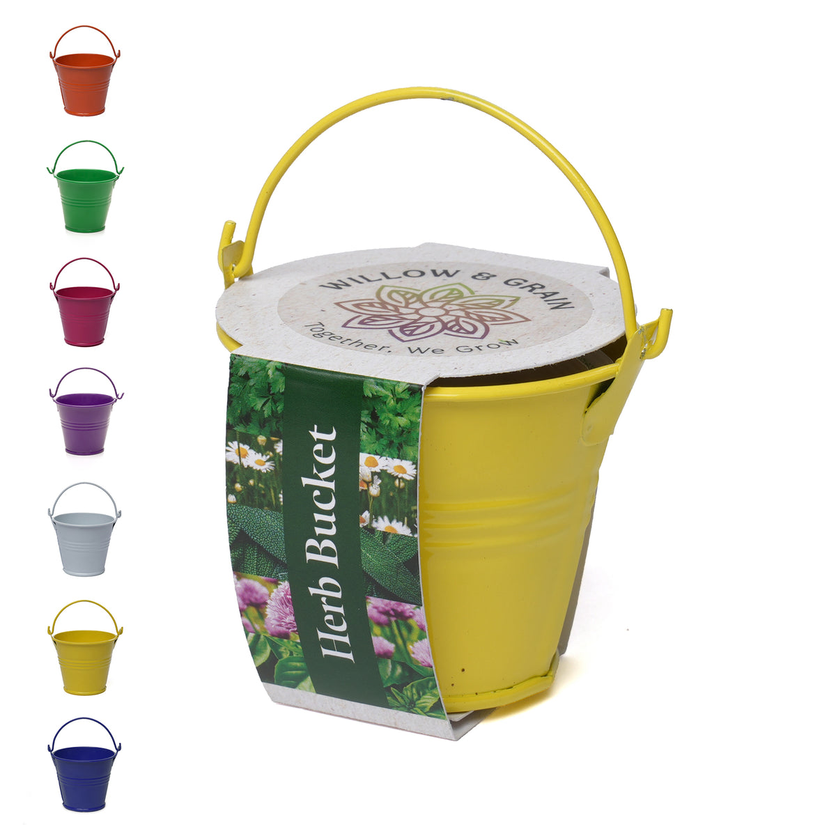 Branded Coloured Enamel Mini Bucket Grow Kit