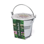 Branded Silver Zinc Mini Bucket Grow Kit