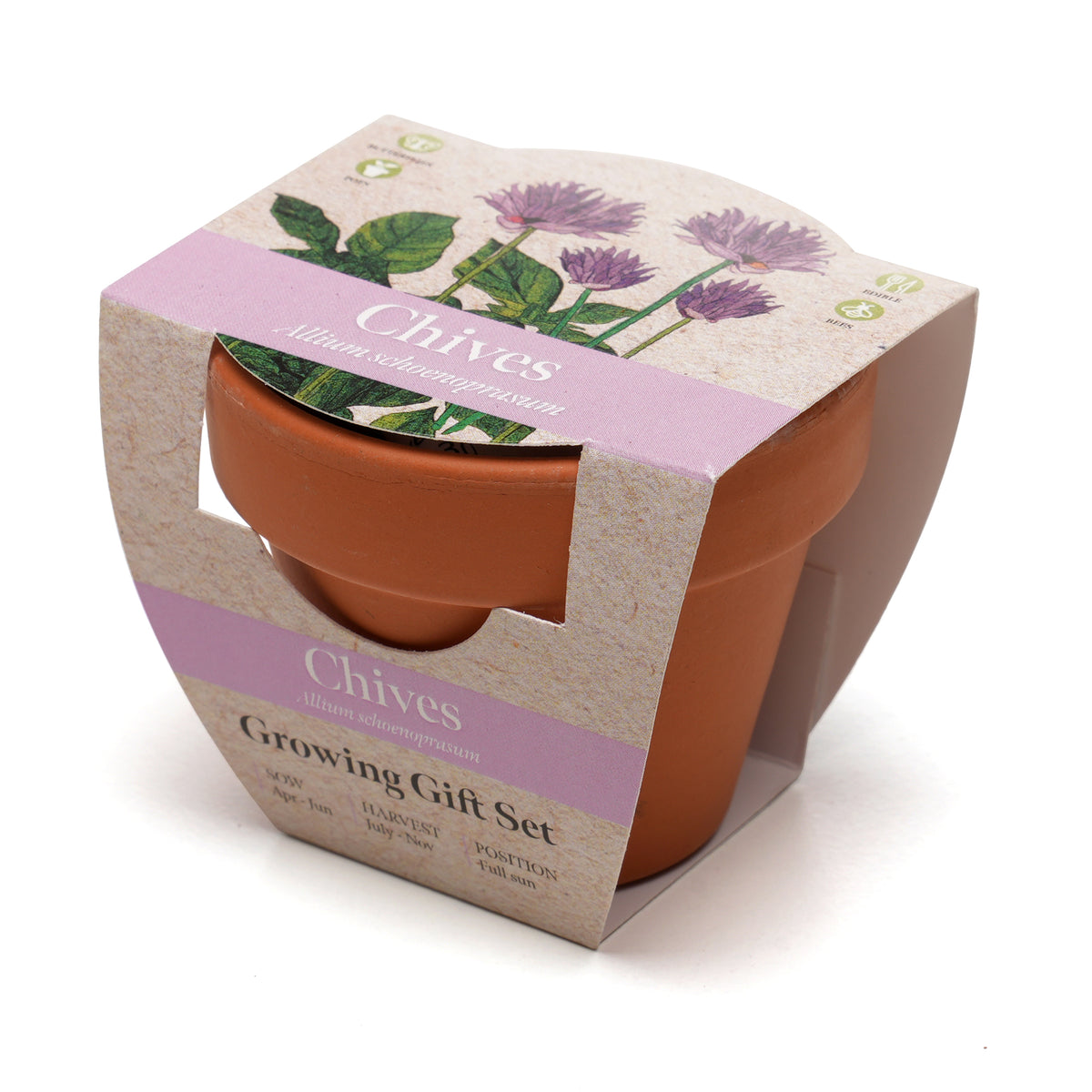 Branded Mini Terracotta Pot Growing Gift