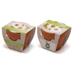 Branded Mini Terracotta Pot Growing Gift