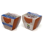 Branded Mini Terracotta Pot Growing Gift
