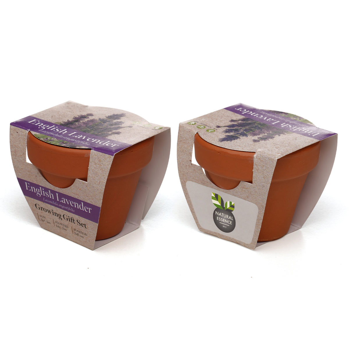 Branded Mini Terracotta Pot Growing Gift