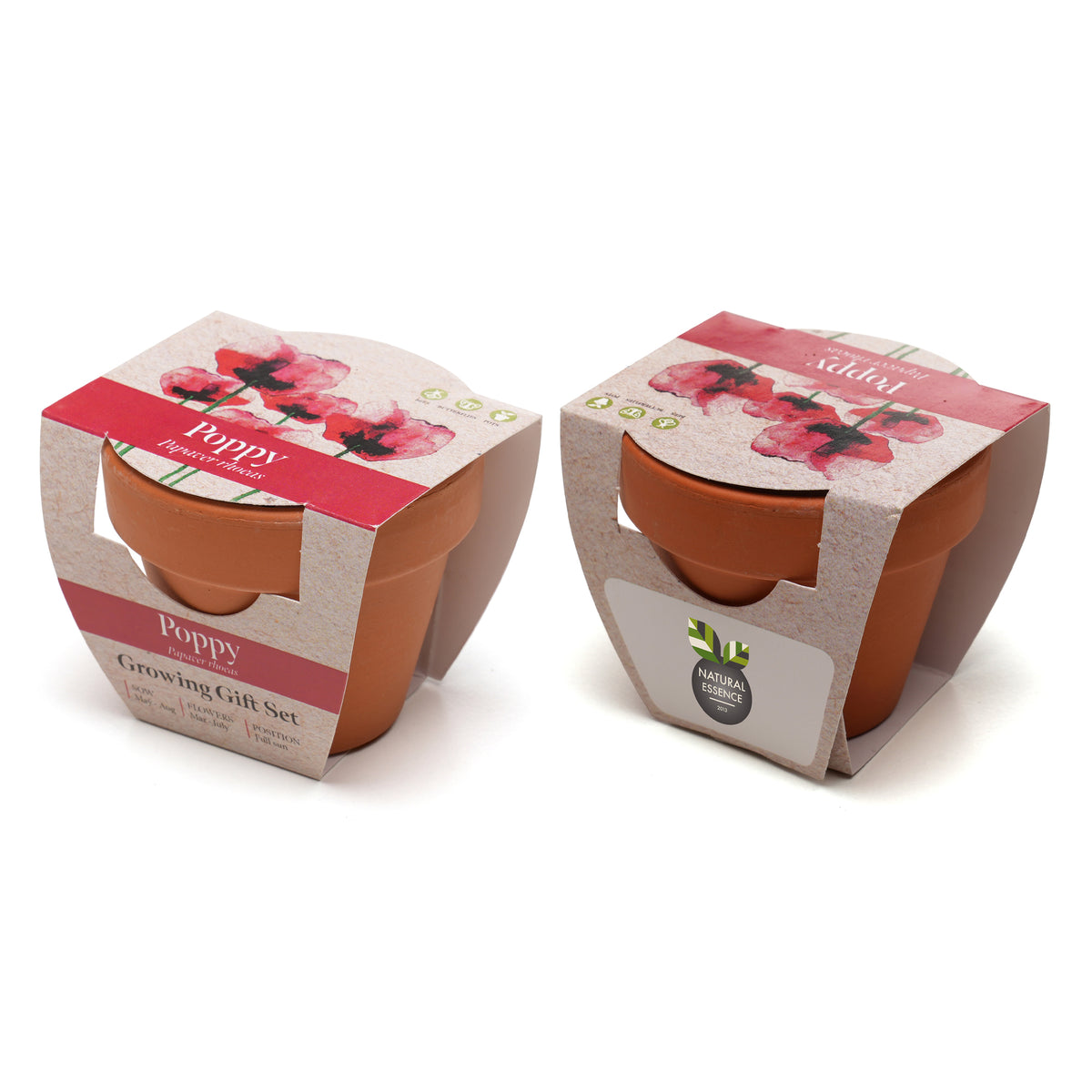Branded Mini Terracotta Pot Growing Gift