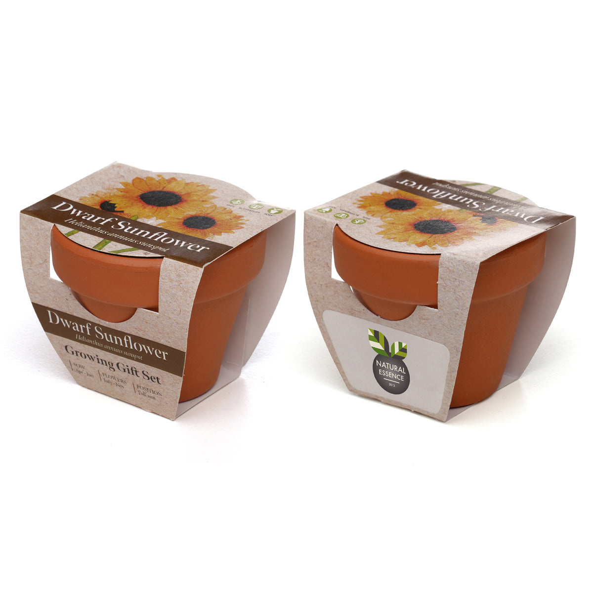 Branded Mini Terracotta Pot Growing Gift