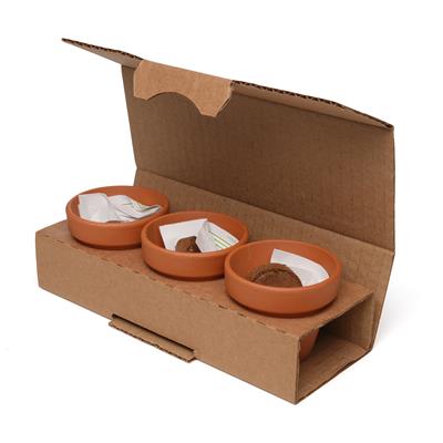 Branded Garden Seed Pot Trio