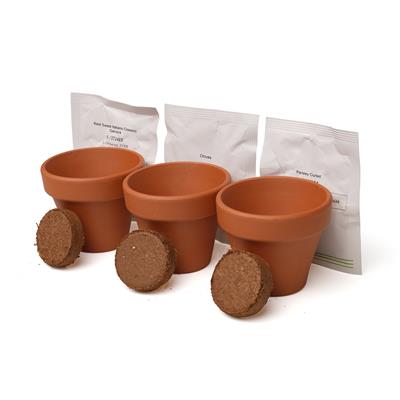 Branded Garden Seed Pot Trio