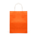 Branded Medium Coloured Paper Bag with Twist Handles