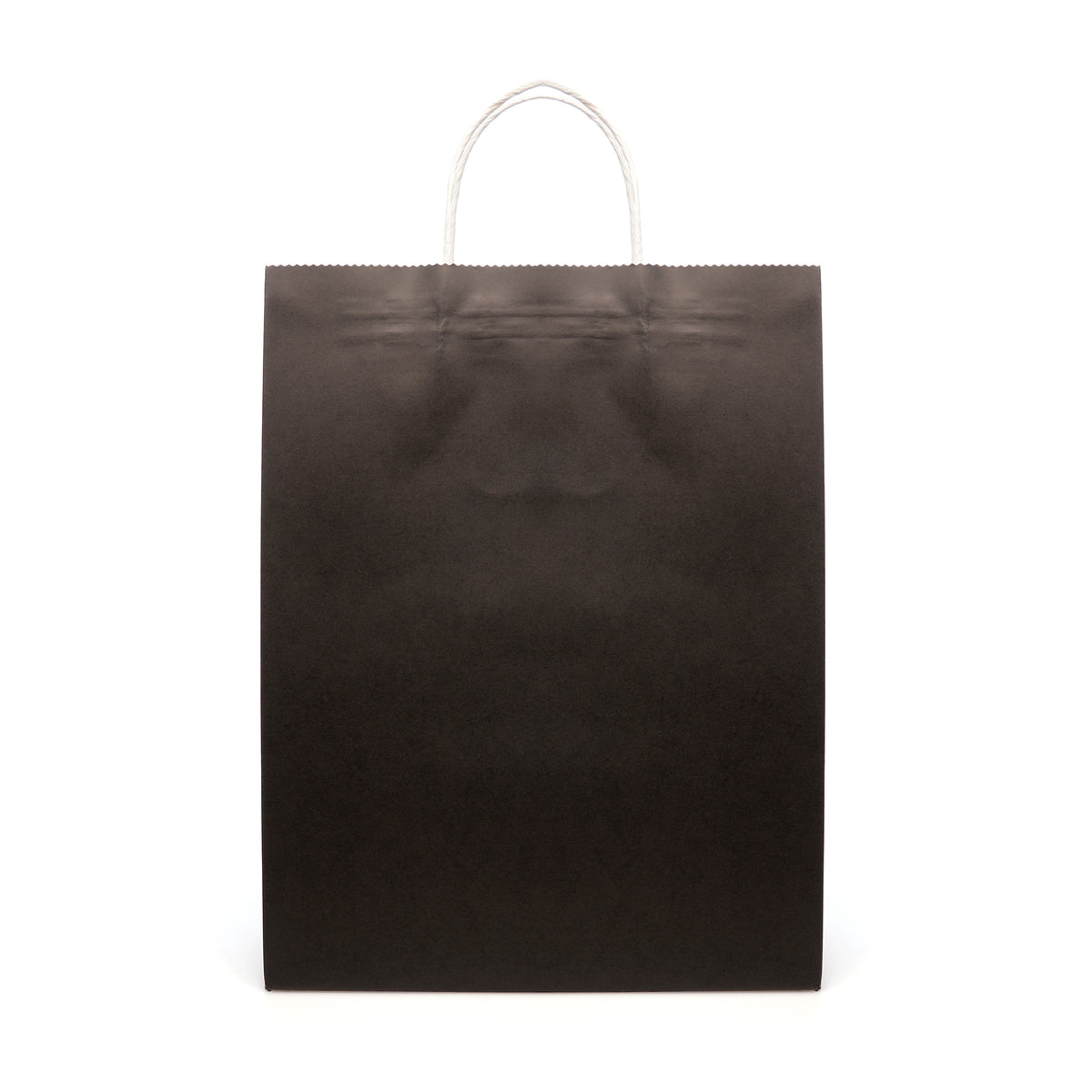 Branded Large Coloured Paper Bag with Twist Handles