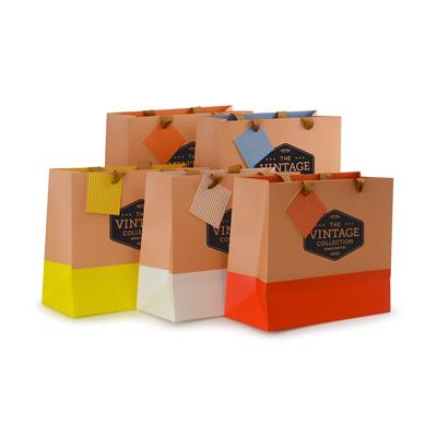 Colour Blocked Paper Gift Bag