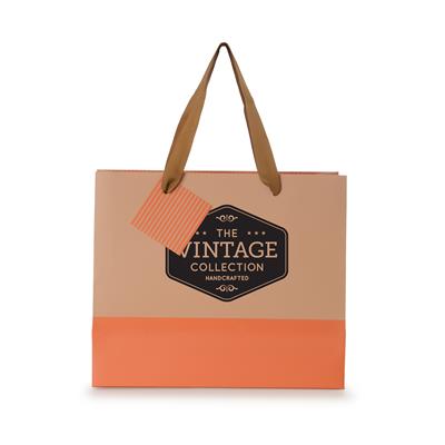 Colour Blocked Paper Gift Bag