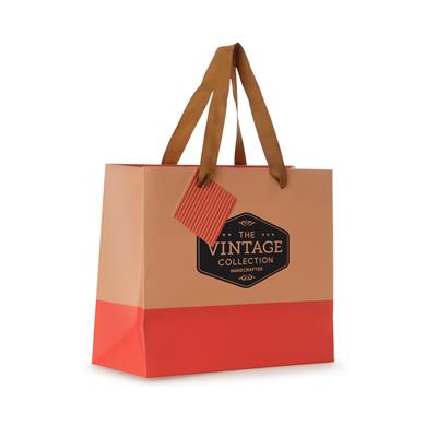 Colour Blocked Paper Gift Bag