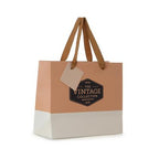 Colour Blocked Paper Gift Bag