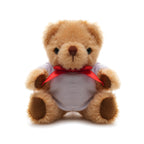 Branded Teddy Bear with Red Ribbon and T-shirt