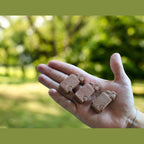 Branded Van Shaped Seed Bombs