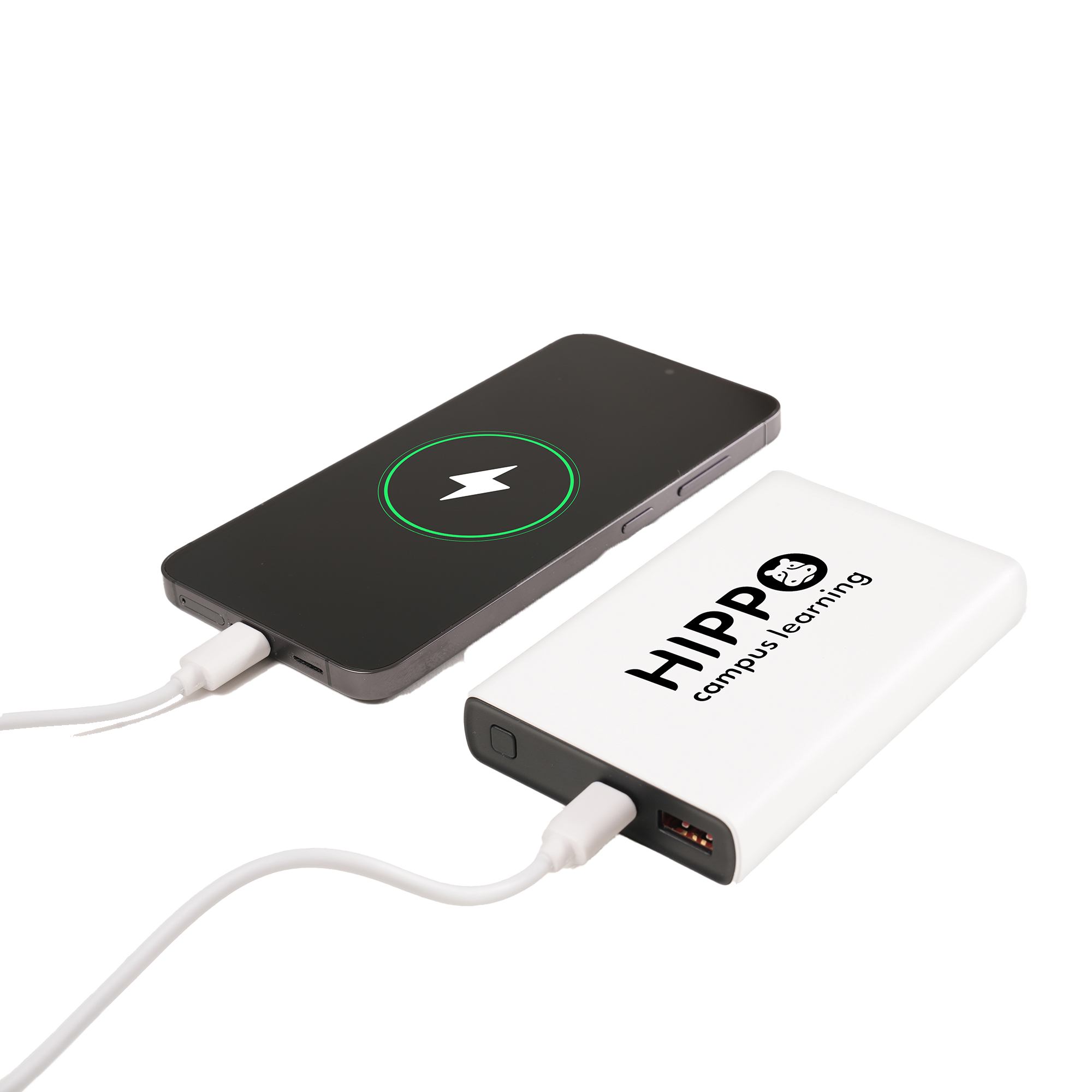 Fast Charge Power Bank