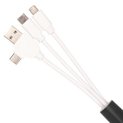Light Up Dual Charger