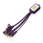 Branded 10W Multi-Connector Charging Cable with Dual Adapter