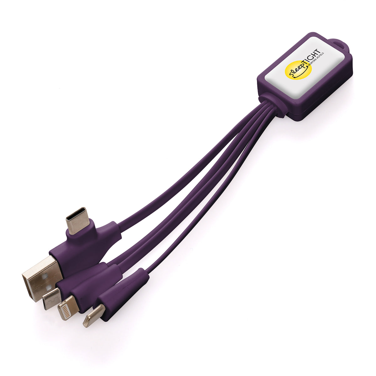 Branded 10W Multi-Connector Charging Cable with Dual Adapter