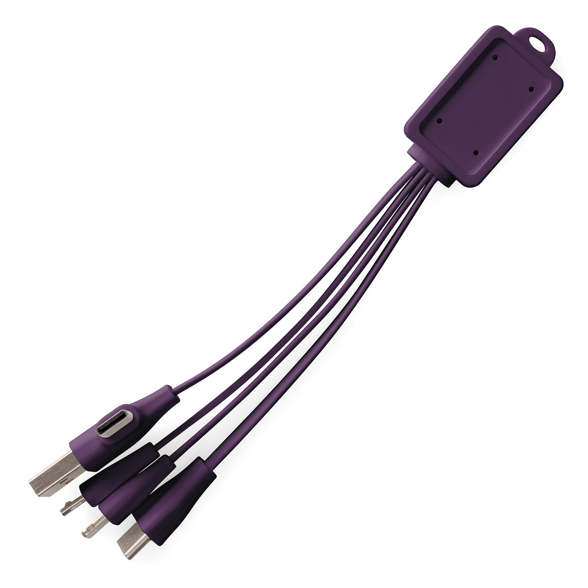 Branded 10W Multi-Connector Charging Cable with Dual Adapter