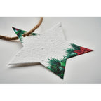 Branded seed paper Christmas star, detail