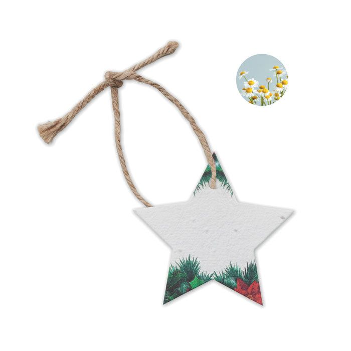 Branded seed paper Christmas star