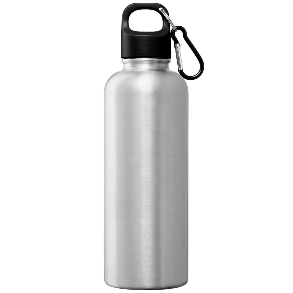 Branded Recycled Steel Water Bottle with Carabiner 750ml in Chrome