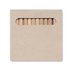 Branded 12 Coloured Pencils Set without branding