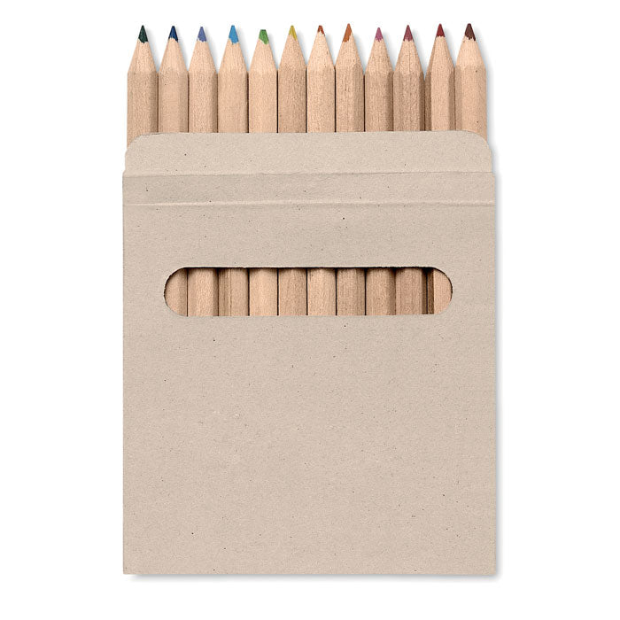 Branded 12 Coloured Pencils Set without branding