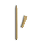 Branded recycled paper ball pen with cap