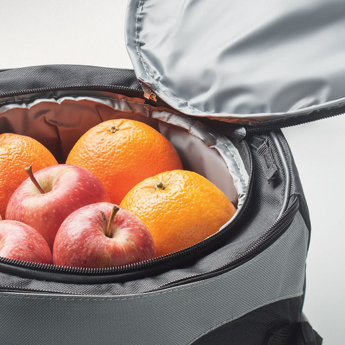 Branded BBQ and Cooler Bag without branding