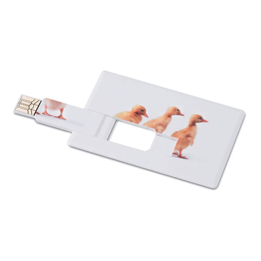 Credit Card USB Drive